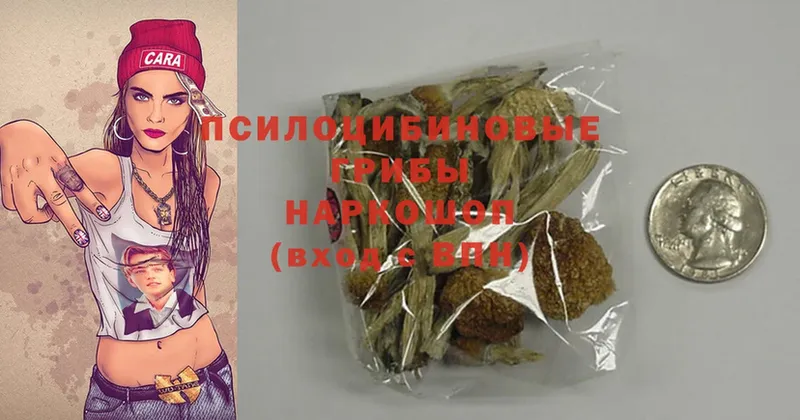 где можно купить   Биробиджан  Псилоцибиновые грибы Magic Shrooms 